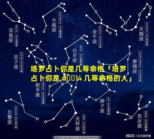 塔罗占卜你是几等命格「塔罗占卜你是 🌼 几等命格的人」